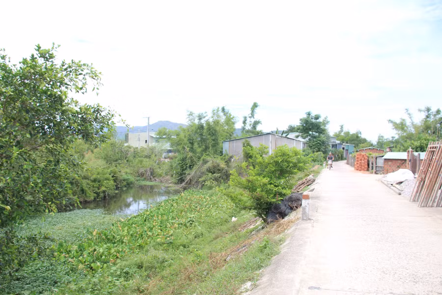 tieu-thoat-lu.jpg