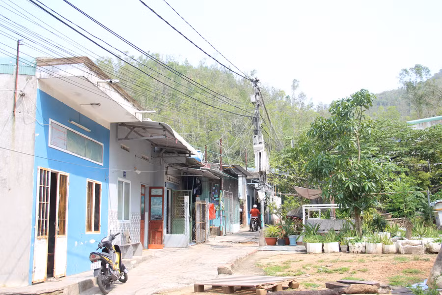 nguon-goc-dat-phuc-tap.jpg