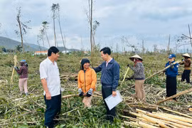 Cán bộ Ngân hàng CSXH tỉnh và Phòng giao dịch Ngân hàng CSXH Vân Canh động viên một số hộ dân thôn Hiệp Hà (xã Vân Canh) vay vốn bị thiệt hại cây trồng sau bão số 13. Ảnh: Triều Châu