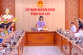 Phó Chủ tịch UBND tỉnh Nguyễn Thị Thanh Lịch (đứng) chủ trì cuộc họp. Ảnh: Đoan Ngọc