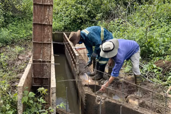 Tạo đà cho “trụ đỡ” của ngành nông nghiệp bứt phá - Kỳ 1: Khơi thông nguồn lực
