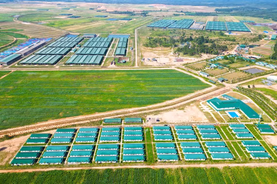 Đưa doanh nghiệp tiến sâu vào thị trường quốc tế