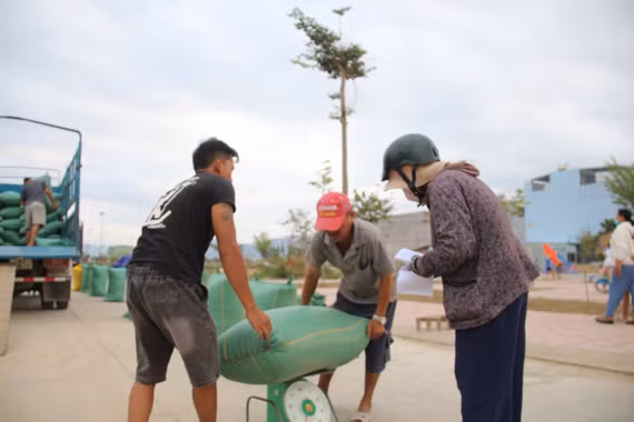 Vụ lúa Hè Thu 2026: Áp lực từ giá đầu ra