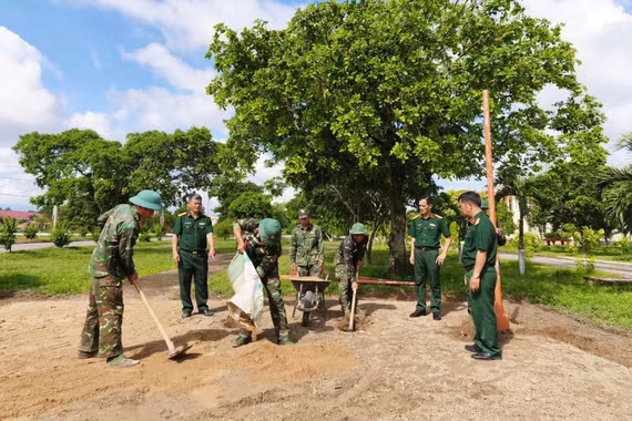 Vững bước trưởng thành