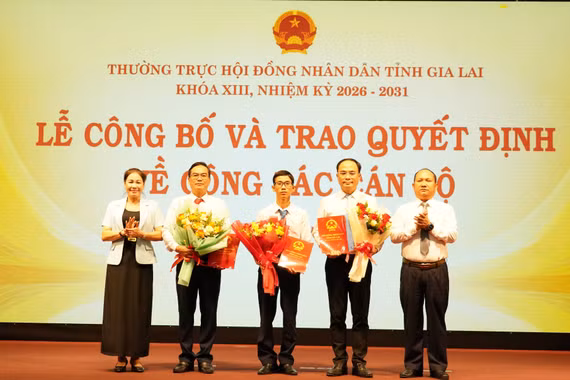 Tiếp nhận, bổ nhiệm 3 Phó Chánh Văn phòng Đoàn ĐBQH và HĐND tỉnh