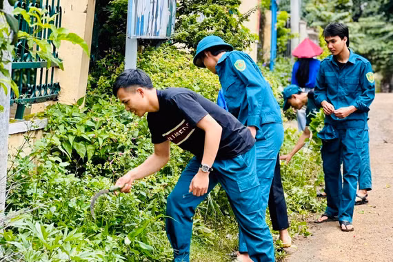 Gia Lai tăng cường công tác phòng, chống sốt xuất huyết
