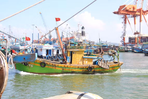 Chủ tịch UBND tỉnh Gia Lai chỉ đạo khẩn trương khắc phục tồn tại trong chống khai thác IUU
