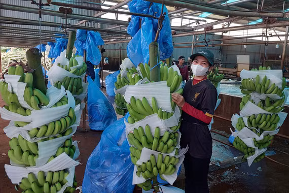 Gia Lai mở hướng xuất khẩu nông sản qua Cửa khẩu quốc tế Tà Lùng