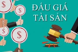 Gia Lai triển khai Quyết định của Bộ Tư pháp về ban hành khung giá dịch vụ đấu giá tài sản