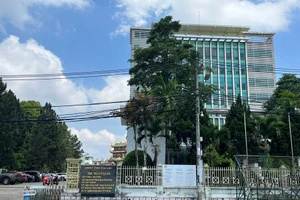 Gia Lai tổ chức xe đưa, đón hơn 380 công chức, viên chức đến công tác tại tỉnh Bình Định (cũ)
