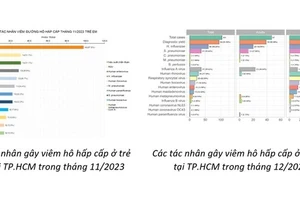 Virus gây bệnh hô hấp ở Trung Quốc từng được ghi nhận tại TP HCM