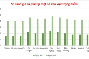 Cà phê giảm từ 1.000 đồng/kg, giá hồ tiêu ổn định