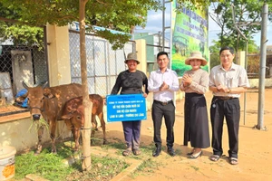 Pleiku, Ayun Pa, Ia Grai trao nhà và sinh kế cho hộ nghèo