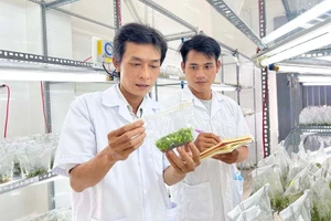 Gia Lai: Phấn đấu đến năm 2030, trí thức có trình độ đại học trở lên chiếm khoảng 77% 