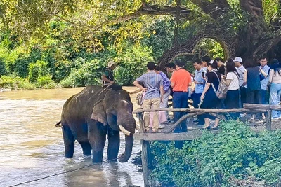 Đánh giá kết quả liên kết phát triển du lịch khu vực Tây Nguyên và với các tỉnh, thành phố