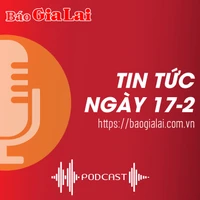 Tin tức ngày 17-2: Đối tượng phá hoại vườn cây ở Mang Yang là anh rể của nạn nhân