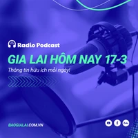 Gia Lai hôm nay 17-3: 50 năm Gia Lai cùng cả nước vươn mình lên tầm cao mới