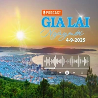 Gia Lai ngày mới 4-9: Bí thư Thành ủy Đà Nẵng giữ chức Phó Tổng Thanh tra Thường trực Thanh tra Chính phủ