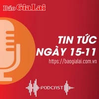 Tin tức sáng 15-11: Công bố và trao văn bằng bảo hộ nhãn hiệu chứng nhận “Mắc ca Kbang-Gia Lai” và “Heo Broong Đức Cơ-Gia Lai”