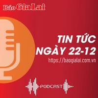 Tin tức ngày 22-12: Gia Lai triển khai 118 cuộc thanh tra trong năm 2025