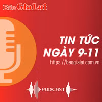 Tin tức sáng 9-11: Gia Lai điều động, bổ nhiệm cán bộ 