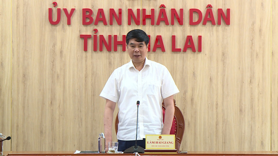 Phó Chủ tịch UBND tỉnh Lâm Hải Giang phát biểu chỉ đạo tại cuộc họp. Ảnh: Hoàng Vũ
