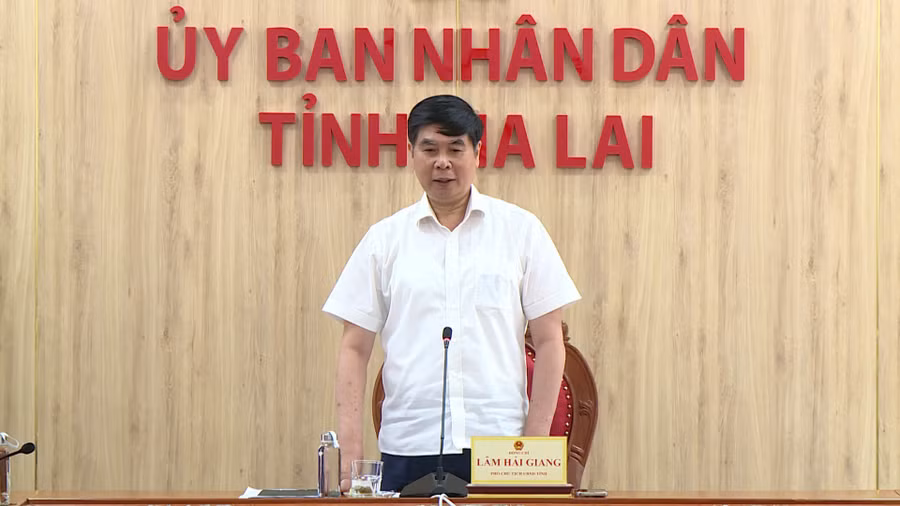 Phó Chủ tịch UBND tỉnh Lâm Hải Giang phát biểu chỉ đạo tại cuộc họp. Ảnh: Hoàng Vũ