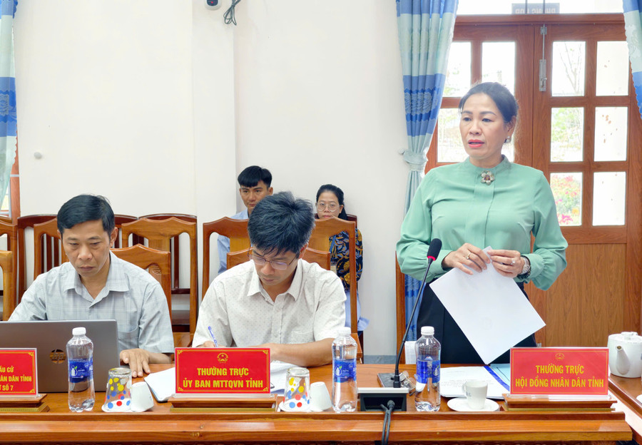 pct-huynh-thuy-van-tham-gia-y-kien.jpg