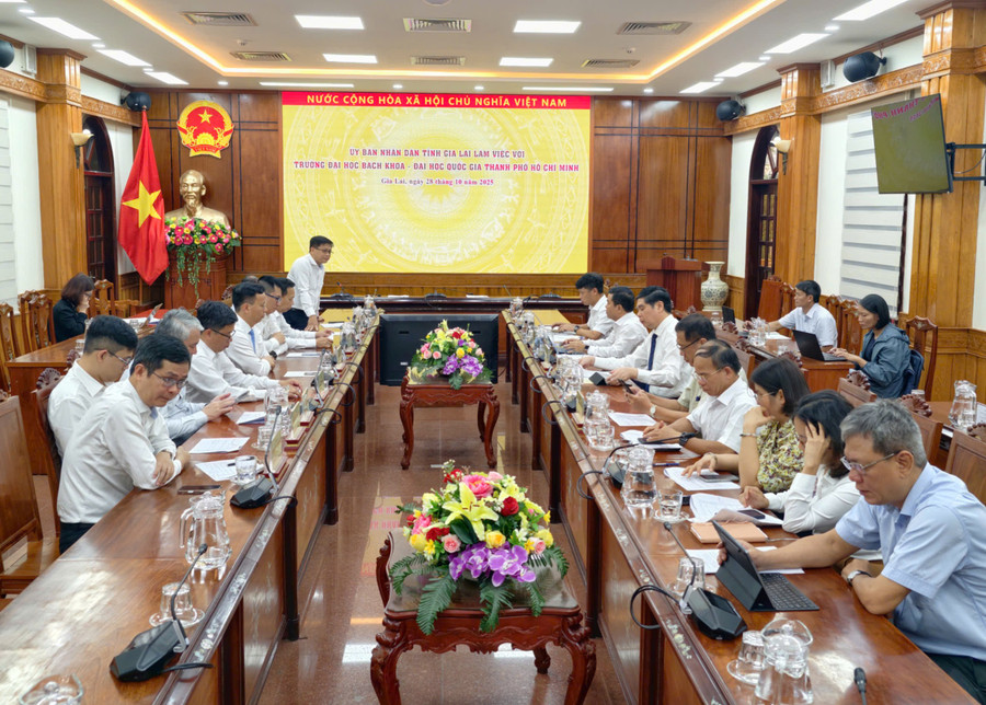 Hai bên trao đổi về việc triển khai hợp tác giai đoạn 2025-2030 Ảnh: Dũng Nhân 2810-1.jpg