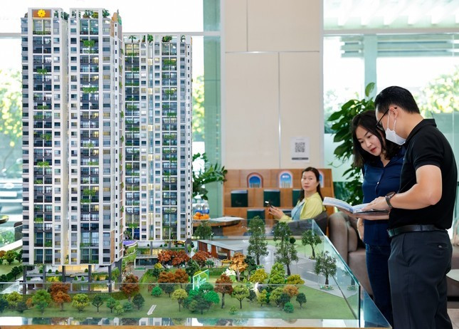 Năm 2025, thị trường đã chuyển mình sang bước ngoặc mới và bắt đầu phát triển ổn định. Năm 2025, thị trường đã chuyển mình sang bước ngoặc mới và bắt đầu phát triển ổn định.