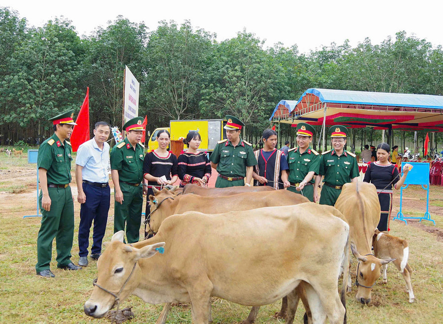 Đại diện lãnh đạo Binh đoàn 15, Đoàn Kinh tế - Quốc phòng 75 và chính quyền địa phương trao bò giống cho người dân. Ảnh: Thanh Quý z7164452077132-70505e366385152a3b0cdaf9d6f2ee73.jpg