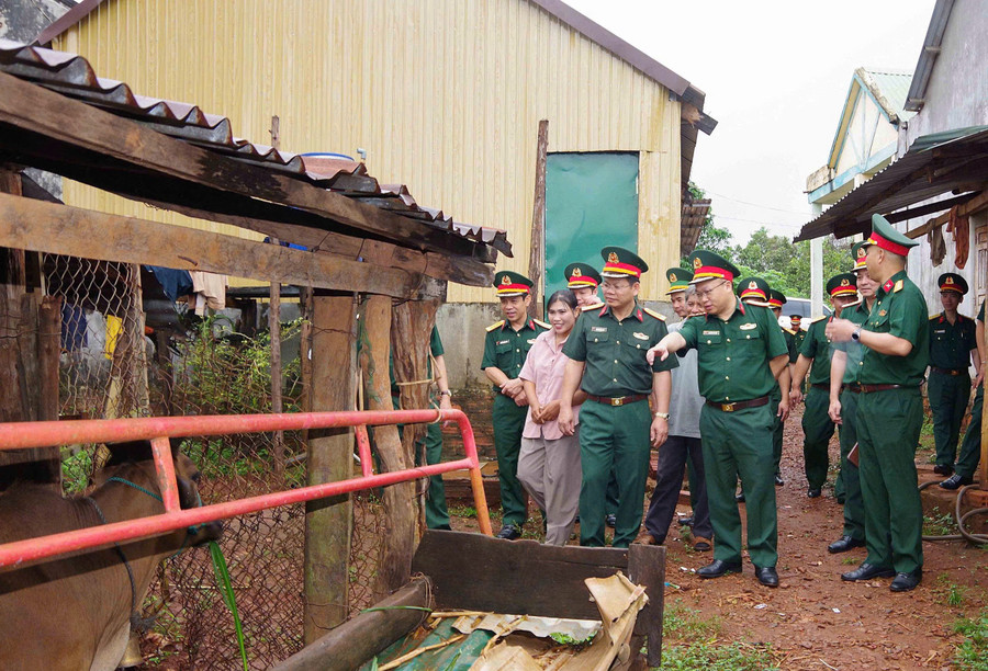 Đoàn công tác đến kiểm tra trực tiếp tại các gia đình thụ hưởng dự án chăn nuôi bò giống sinh sản. Ảnh: Thanh Quý doan-cong-tac-den-tham-kiem-tra-tai-cac-gia-dinh-thu-huong-chuong-trinh-du-an-chan-nuoi-bo-giong-sinh-san.jpg
