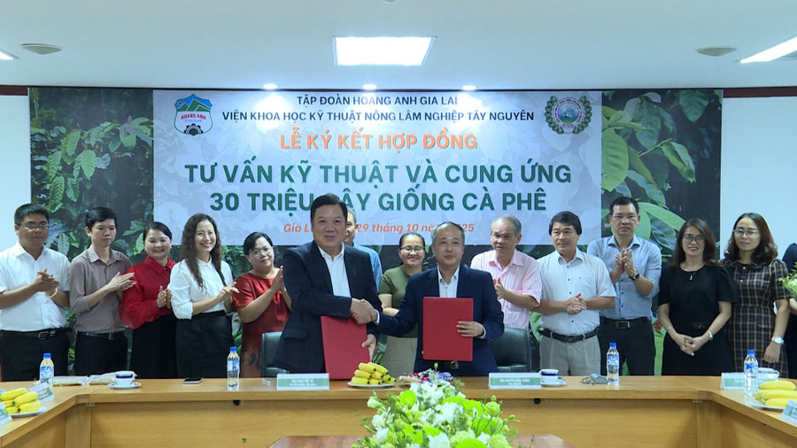 តំណាងអង្គភាពទាំងពីរបានចុះហត្ថលេខាលើកិច្ចព្រមព្រៀងសហប្រតិបត្តិការ។ រូបថត៖ ហ៊ុយ ទួន cac-dai-bieu-chung-kien-le-ky-ket.jpg