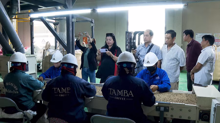 hiep-hoi-du-lich-tinh-khao-sat-quy-trinh-san-xuat-che-bien-ca-phe-tam-ba.jpg