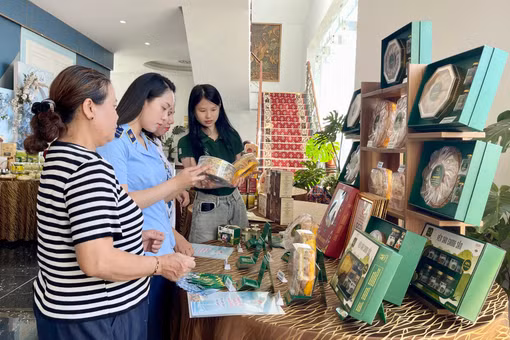 OCOP Gia Lai: Từ “đạt sao” đến giữ chuẩn