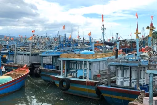 Gia cố “lá chắn” bảo vệ tàu cá, ngư dân - Kỳ 1: Báo động từ những nguy cơ mất an toàn