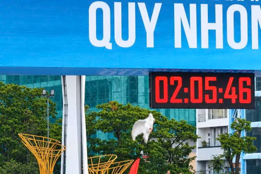 VnExpress Marathon Quy Nhon 2026: Thời tiết chiều lòng, runner bung sức