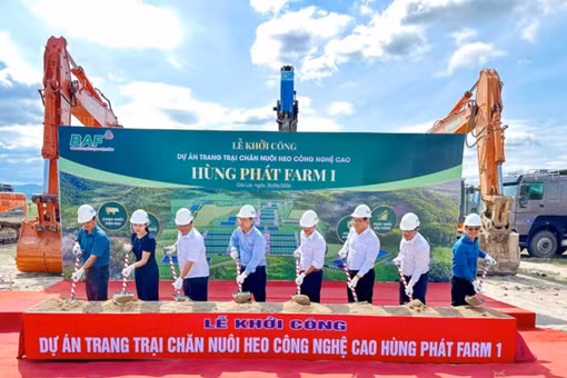 Tạo sức hút với dòng vốn đầu tư chất lượng cao