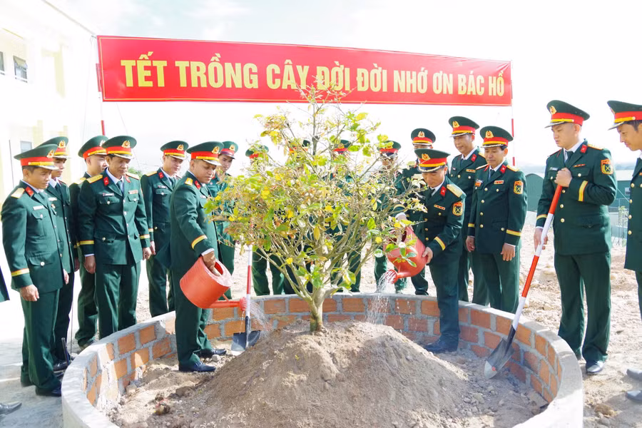 su-doan-31-phat-dong-tet-trong-cay-doi-doi-nho-on-bac-ho.jpg