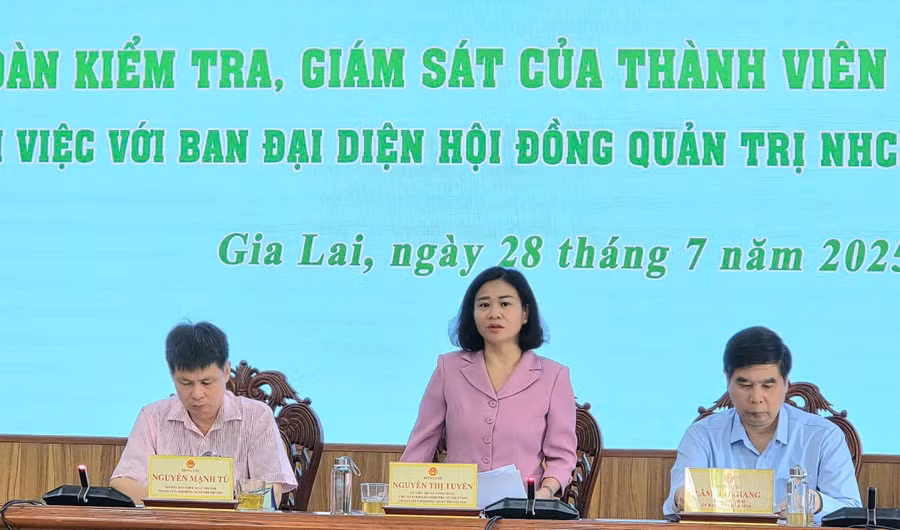 Bà Nguyễn Thị Tuyến-Ủy viên Ban Chấp hành Trung ương Đảng, Phó Chủ tịch Ủy ban Trung ương MTTQ Việt Nam, Chủ tịch Hội LHPN Việt Nam phát biểu tại buổi làm việc. Ảnh: Hồng Thương