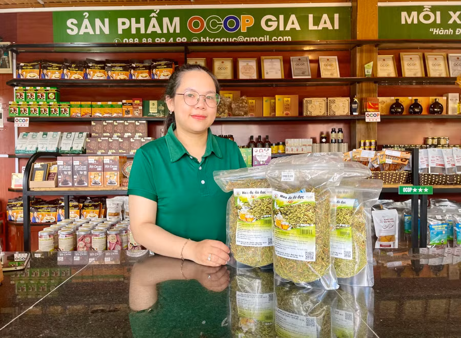 san-pham-hoa-du-du-say-kho-cua-hop-tac-xa-duoc-trung-bay-tai-cua-hang-ocop-cua-hop-tac-xa-nong-nghiep-lien-hiep-gia-lai-anh-hong-thuong.jpg