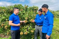 Bí thư Đoàn xã trách nhiệm, nhiệt huyết vì cộng đồng