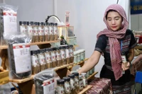 30 dự án vào vòng bán kết cuộc thi “Thanh niên Gia Lai khởi nghiệp sáng tạo”