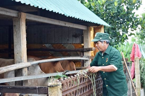 Ông Ksor Hiếu-nguyên Bí thư Đảng ủy xã Ia Hrung, hiện đang sống ở làng Blo Dung, là du kích những năm 1967-1968, Tiểu đội trưởng rồi Xã đội trưởng B15 (xã Ia Dêr hiện nay), rất tích cực phát triển kinh tế gia đình. Ảnh: Minh Thoan Ông Ksor Hiếu-nguyên Bí thư Đảng ủy xã Ia Hrung, hiện đang sống ở làng Blo Dung, là du kích những năm 1967-1968, Tiểu đội trưởng rồi Xã đội trưởng B15 (xã Ia Dêr hiện nay), rất tích cực phát triển kinh tế gia đình. Ảnh: Minh Thoan