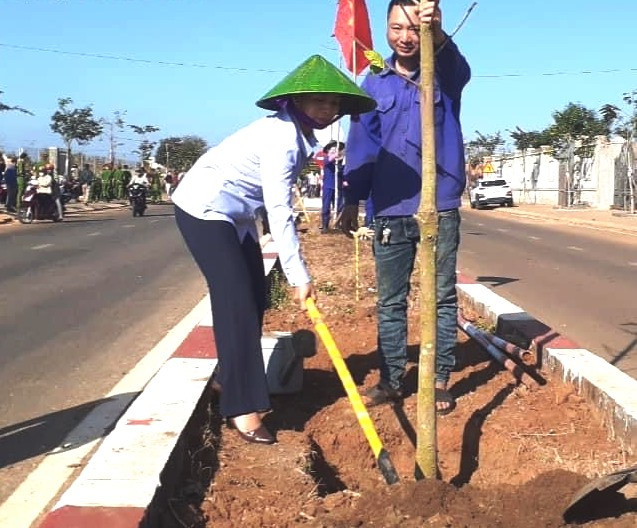 Các đại biểu trồng 100 cây dầu tại tuyến đường mới Phan Đình Phùng, thị trấn Chư Sê. Ảnh: H.T Các đại biểu trồng 100 cây dầu tại tuyến đường mới Phan Đình Phùng, thị trấn Chư Sê. Ảnh: H.T