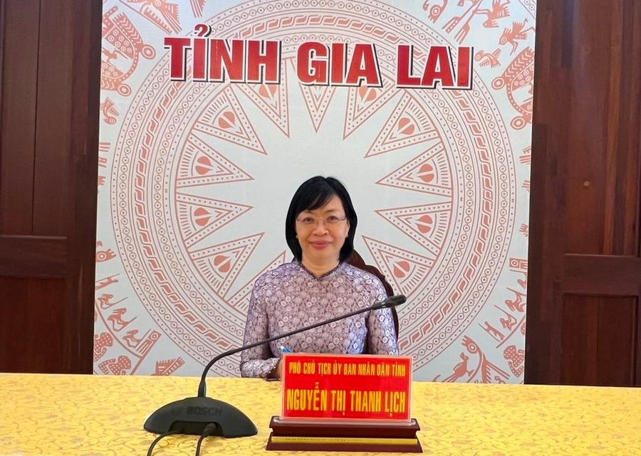 Phó Chủ tịch UBND tỉnh Nguyễn Thị Thanh Lịch-Phó Trưởng ban Thường trực Ban Chỉ đạo các CTMTQG giai đoạn 2021-2025 của tỉnh chủ trì tại điểm cầu UBND tỉnh Gia Lai. Phó Chủ tịch UBND tỉnh Nguyễn Thị Thanh Lịch-Phó Trưởng ban Thường trực Ban Chỉ đạo các CTMTQG giai đoạn 2021-2025 của tỉnh chủ trì tại điểm cầu UBND tỉnh Gia Lai.