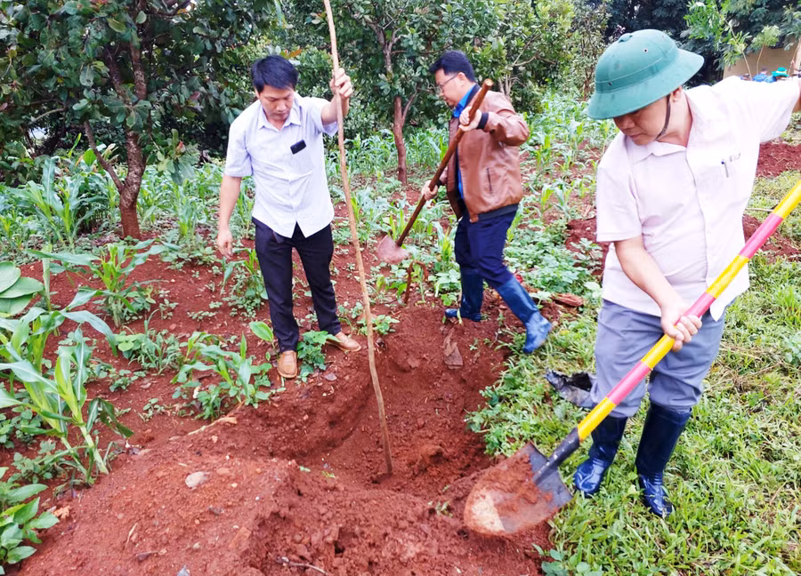 Đại diện lãnh đạo UBND huyện, các ban, ngành, hội, đoàn thể huyện Đức Cơ ra quân trồng cây tại Khu Di tích lịch sử Chiến thắng Chư Ty. Ảnh: Đinh Yến