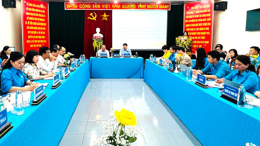 Toàn cảnh buổi làm việc. Ảnh: Đinh Yến