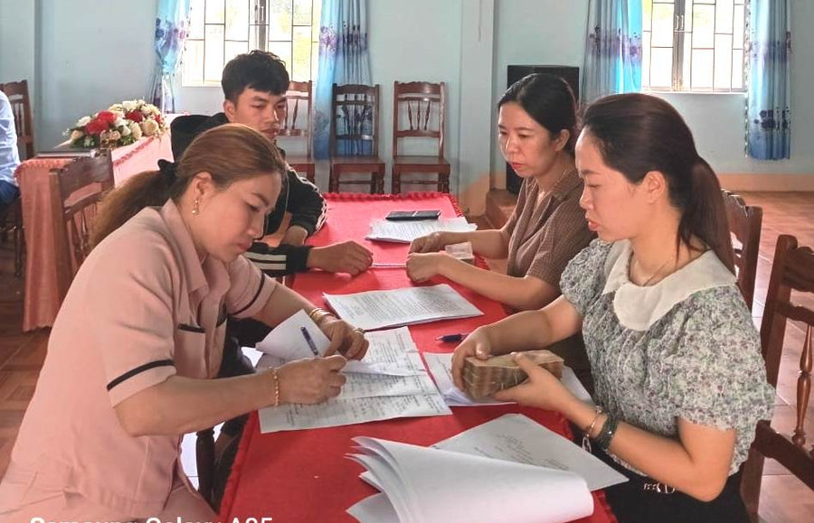Quỹ hỗ trợ nông dân huyện Chư Păh giải ngân cho các hội viên nông dân vay vốn chăn nuôi bò sinh sản. Ảnh: Đinh Yến