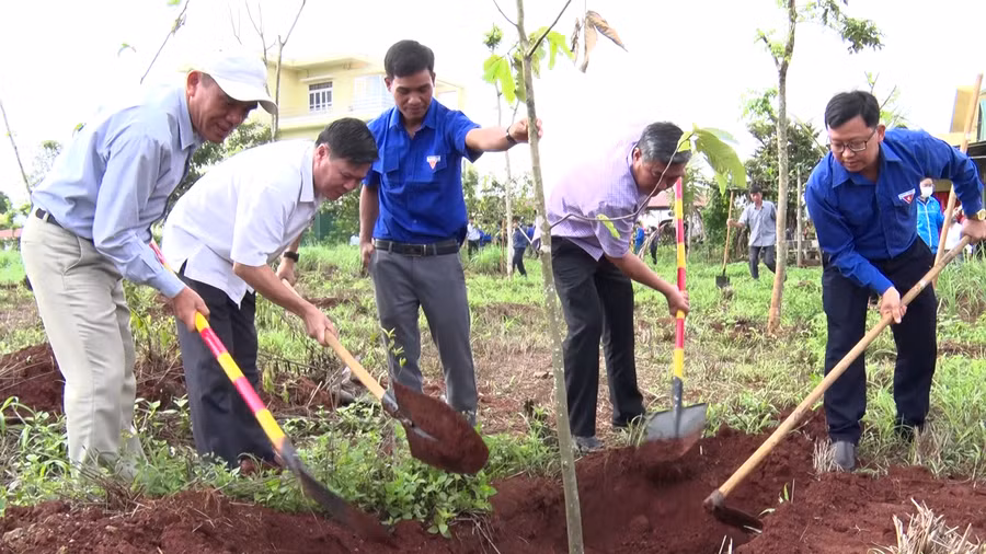 Đại diện lãnh đạo UBND huyện, các ban, ngành, hội, đoàn thể huyện Đức Cơ ra quân trồng cây tại UBND thị trấn Chư Ty. Ảnh: Thanh Tịnh